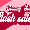 Promo Flash Sale